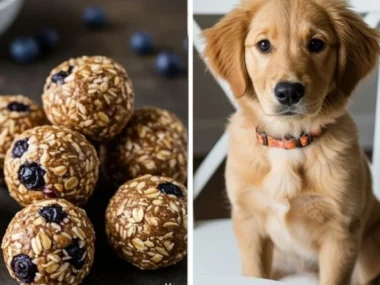 Homemade Sweet Potato Blueberry dog treats on a wooden table