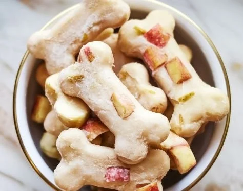 Homemade two-ingredient dog treats recipe for healthy snacks