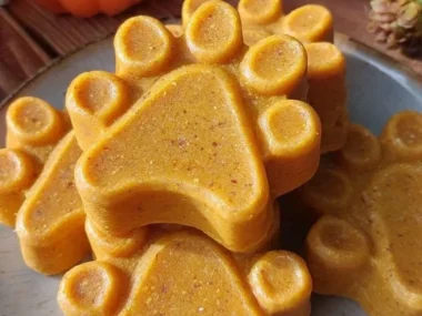 Wholesome pumpkin and turmeric dog treats for a healthy dog snack