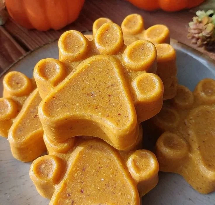 Wholesome pumpkin and turmeric dog treats for a healthy dog snack