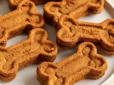 Homemade air fryer dog treats made with peanut butter and pumpkin