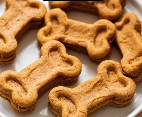 Homemade air fryer peanut butter pumpkin dog treats for healthy pets