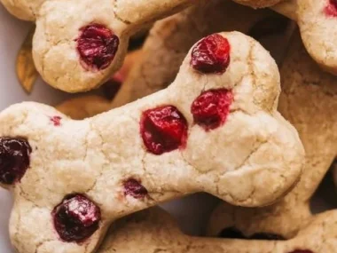 Homemade Apple and Cranberry dog treats for a happy and healthy pup