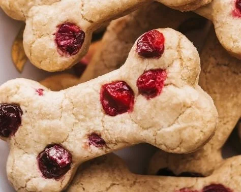 Homemade Apple and Cranberry dog treats for a happy and healthy pup