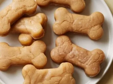Homemade apple sauce dog treats for healthy pet snacking