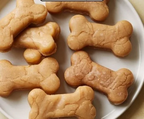 Homemade apple sauce dog treats for healthy pet snacking