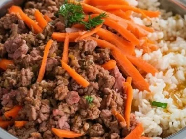 Beef and carrot dog food for healthy canine nutrition