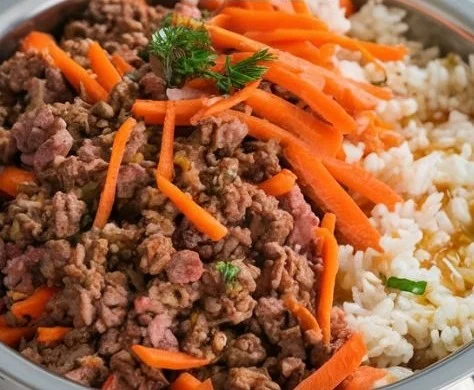 Beef and carrot dog food for healthy canine nutrition