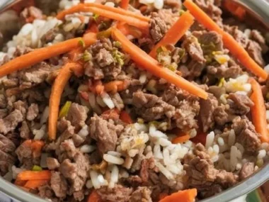 Beef and Carrot Dog Food for healthy dogs