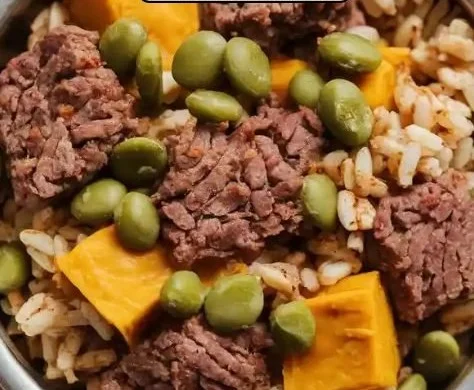 Beef and pumpkin dog food in a bowl, healthy pet meal option.