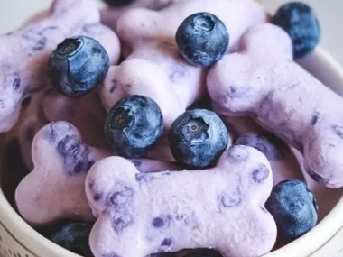 Delicious frozen blueberry dog treats for pets