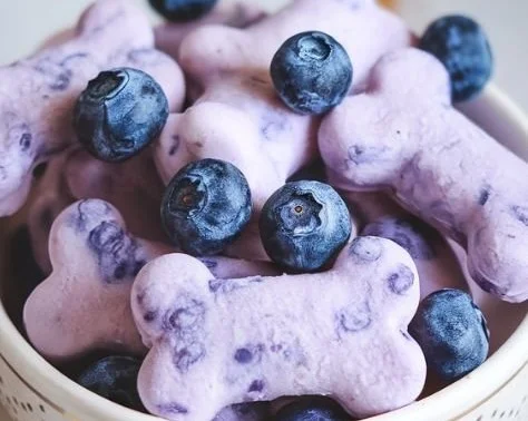 Delicious frozen blueberry dog treats for pets