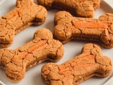 Homemade Carrot and Coconut Dog Treats for healthy canines