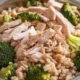 Bowl of Chicken and Broccoli Dog Food with fresh ingredients