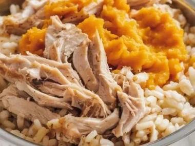 Healthy chicken and pumpkin dog food for optimal nutrition