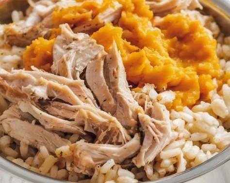 Healthy chicken and pumpkin dog food for optimal nutrition