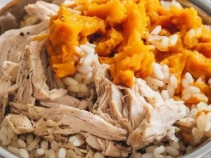 Bowl of chicken and pumpkin dog food for healthy dogs