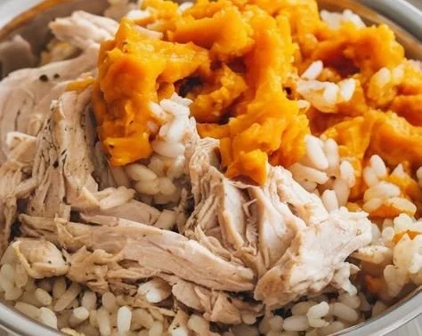 Bowl of chicken and pumpkin dog food for healthy dogs