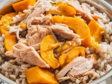Delicious chicken and pumpkin meal prepared for dogs