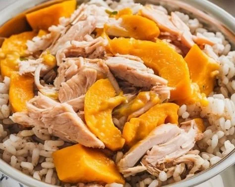 Delicious chicken and pumpkin meal prepared for dogs