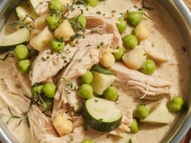 Bowl of Chicken Zucchini Dog Stew made with fresh ingredients for pets