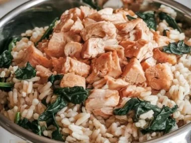 Homemade dog meal recipe with chicken, spinach, and brown rice