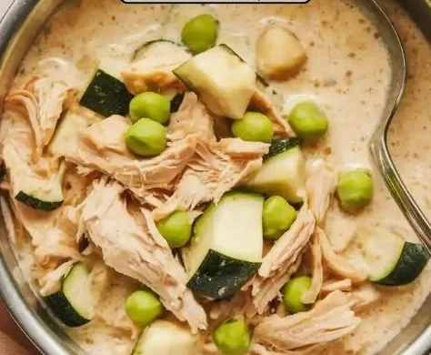 Homemade Chicken Zucchini Stew for Dogs in a bowl