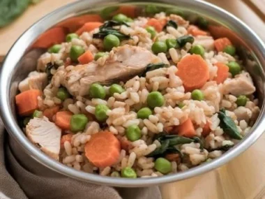 Homemade dog food prepared in a slow cooker for a healthy meal