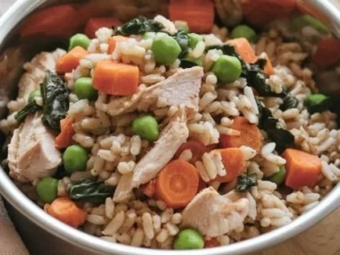 Various types of quality dog food for healthy dogs