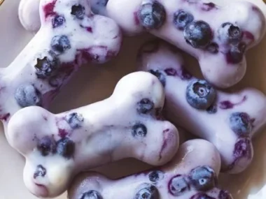 Frozen blueberry dog treats for healthy and happy pets
