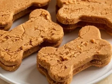 Frozen pumpkin and peanut butter dog treats for healthy dog snacks