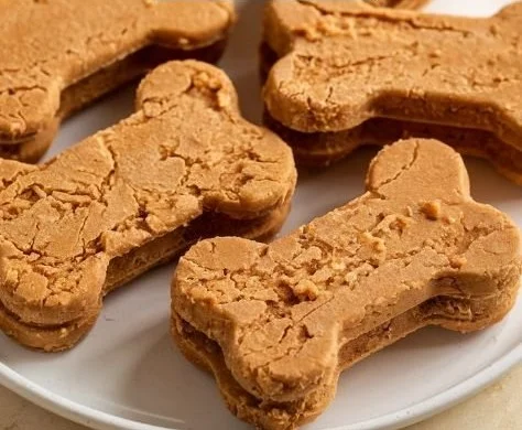 Frozen pumpkin and peanut butter dog treats for healthy dog snacks