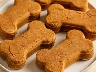 Frozen pumpkin dog treats for dogs, perfect summer snacks.