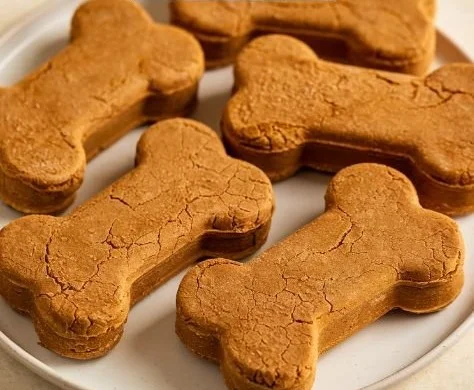 Frozen pumpkin dog treats for dogs, perfect summer snacks.