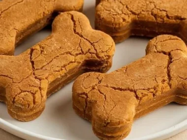 Homemade frozen pumpkin dog treats served in a bowl for pets
