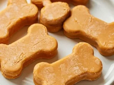 Frozen pumpkin dog treats - healthy snacks for your dog
