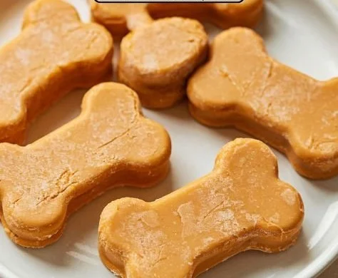 Frozen pumpkin dog treats - healthy snacks for your dog