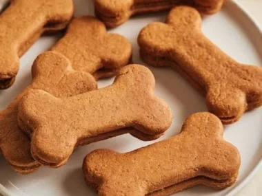 Assorted healthy dog treats in a colorful bowl for pets