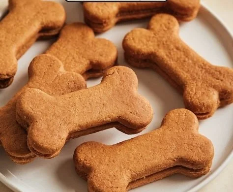 Assorted healthy dog treats in a colorful bowl for pets