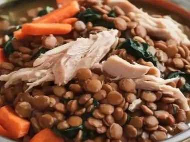 Hearty Lentil and Chicken Dog Food for healthy pets