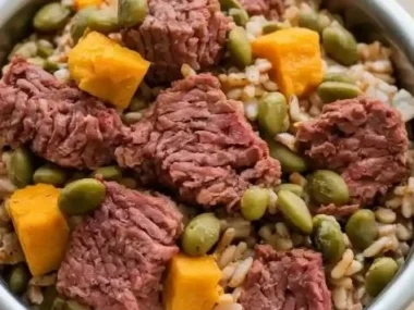 Homemade beef dog dinner with pumpkin and green beans