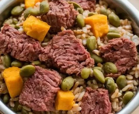 Homemade beef dog dinner with pumpkin and green beans