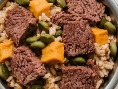 Bowl of homemade dog food ingredients with vegetables and meat