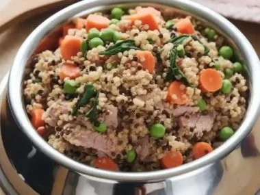 Bowl of homemade dog food with quinoa, vegetables, and meat for a nutritious meal.