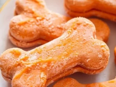 Two homemade frozen carrot dog treats on a plate.