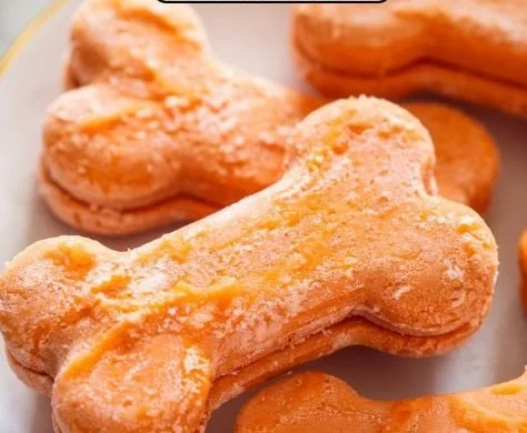 Two homemade frozen carrot dog treats on a plate.