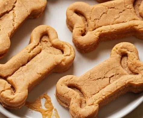 Homemade peanut butter dog treats with fresh ingredients on a wooden table