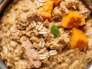 Homemade turkey and pumpkin dog meal recipe for healthy dogs