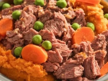 Bowl of lamb and sweet potato dog food for healthy canine nutrition