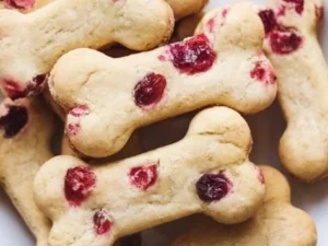 No-bake apple cranberry treats served on a plate